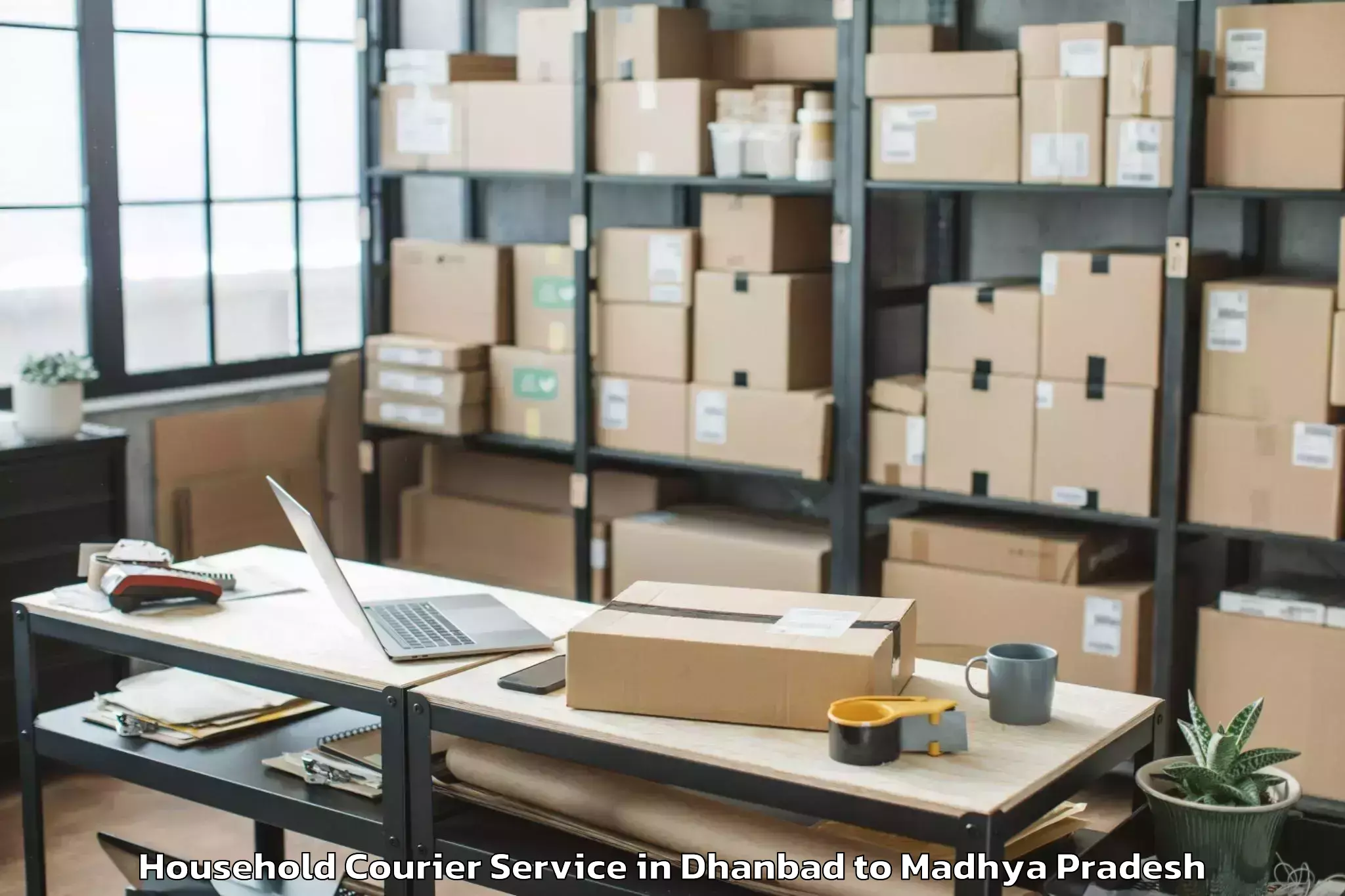 Easy Dhanbad to Vijayraghavgarh Household Courier Booking